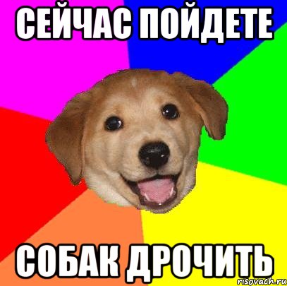 Сейчас пойдете Собак дрочить, Мем Advice Dog