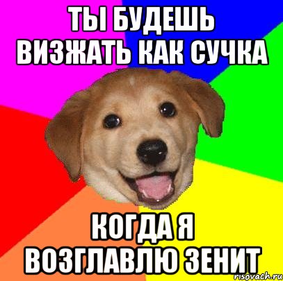 ты будешь визжать как сучка когда я возглавлю зенит, Мем Advice Dog