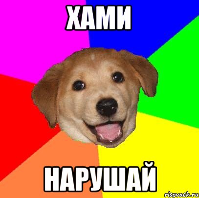 Хами Нарушай, Мем Advice Dog