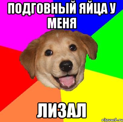 Подговный яйца у меня лизал, Мем Advice Dog