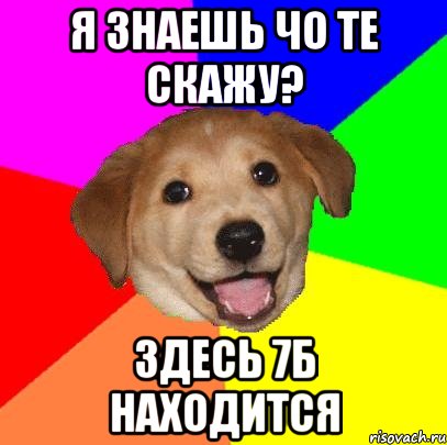 Я знаешь чо те скажу? Здесь 7Б находится, Мем Advice Dog