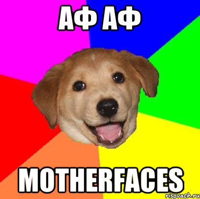 Аф АФ MOTHERFACES, Мем Advice Dog