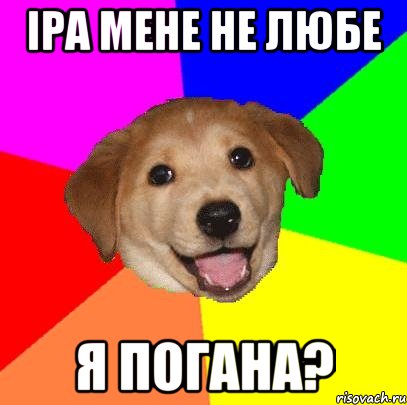 IРА МЕНЕ НЕ ЛЮБЕ Я пОГАНА?, Мем Advice Dog