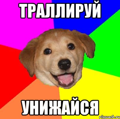 ТРАЛЛИРУЙ УНИЖАЙСЯ, Мем Advice Dog