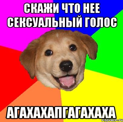 Скажи что нее сексуальный голос Агахахапгагахаха, Мем Advice Dog