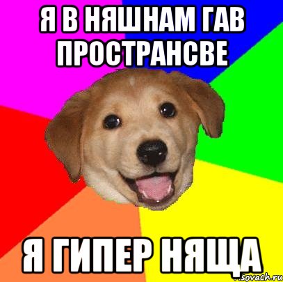 Я В НЯШНАМ ГАВ ПРОСТРАНСВЕ Я ГИПЕР НЯЩА, Мем Advice Dog