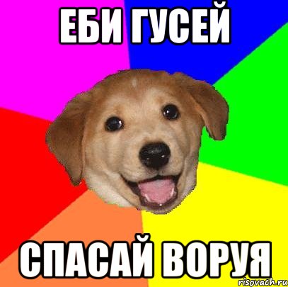 Еби гусей Спасай Воруя, Мем Advice Dog