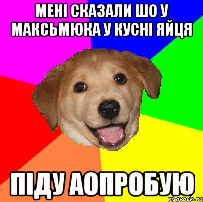 Мені сказали шо у Максьмюка у кусні яйця Піду аопробую, Мем Advice Dog