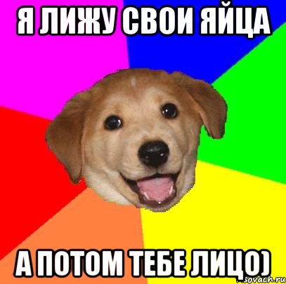 Я лижу свои яйца А потом тебе лицо), Мем Advice Dog