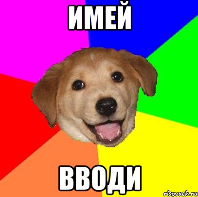 ИМЕЙ ВВОДИ, Мем Advice Dog