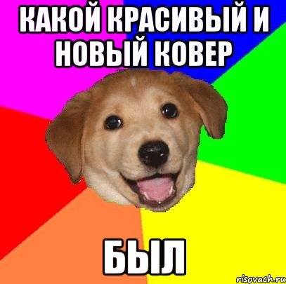 какой красивый и новый ковер был, Мем Advice Dog