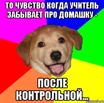 То чувство когда учитель забывает про домашку - после контрольной..., Мем Advice Dog