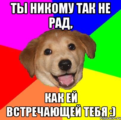 Ты никому так не рад, как ей встречающей тебя :), Мем Advice Dog