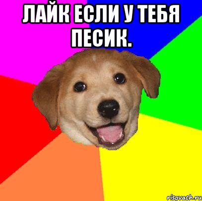 Лайк если у тебя песик. , Мем Advice Dog