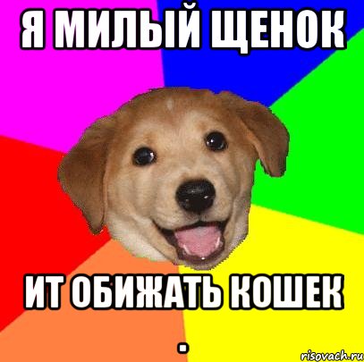 Я милый щенок ит обижать кошек ., Мем Advice Dog