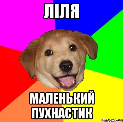 ЛiЛя Маленький пухнастик, Мем Advice Dog