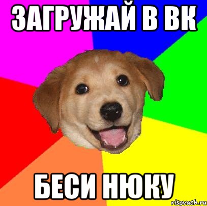 загружай в вк беси нюку, Мем Advice Dog