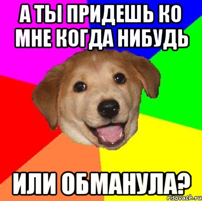 А ты придешь ко мне когда нибудь или обманула?, Мем Advice Dog