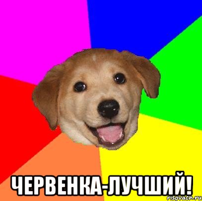  Червенка-лучший!, Мем Advice Dog