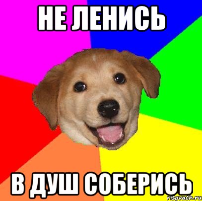 не ленись в душ соберись, Мем Advice Dog