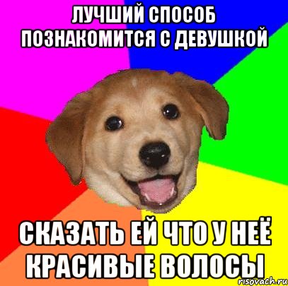 Лучший способ познакомится с девушкой Сказать ей что у неё красивые волосы, Мем Advice Dog