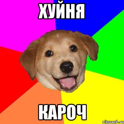 Хуйня Кароч, Мем Advice Dog