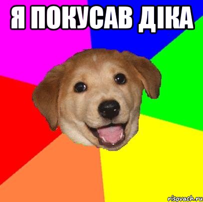 я покусав діка , Мем Advice Dog