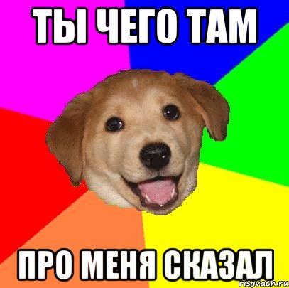 Ты чего там Про меня сказал, Мем Advice Dog