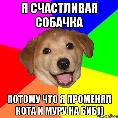 Я счастливая собачка Потому что я променял Кота и Муру на БиБ)), Мем Advice Dog