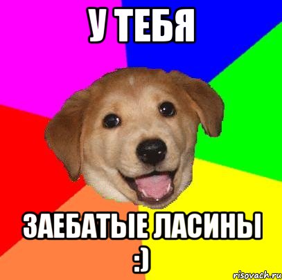 У тебя Заебатые ласины :), Мем Advice Dog