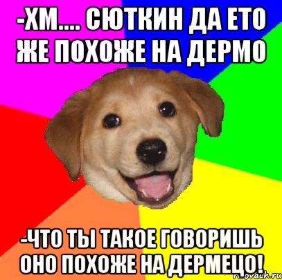 -хм.... Сюткин да ето же похоже на дермо -что ты такое говоришь оно похоже на дермецо!, Мем Advice Dog