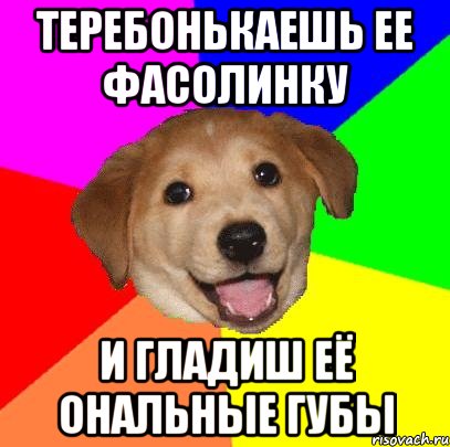 Теребонькаешь ее фасолинку и гладиш её ональные губы, Мем Advice Dog