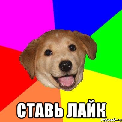  ставь лайк, Мем Advice Dog