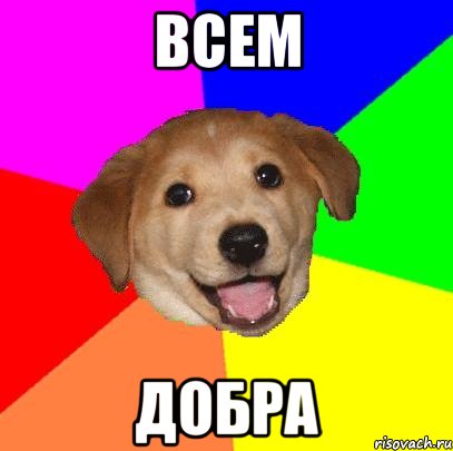 всем добра, Мем Advice Dog