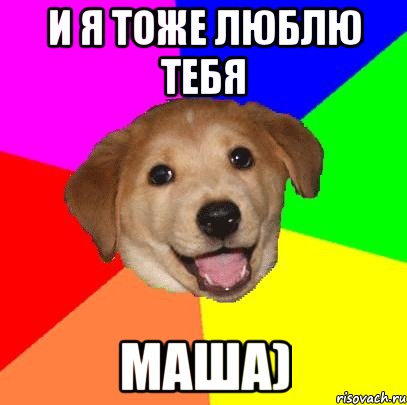 и я тоже люблю тебя маша), Мем Advice Dog