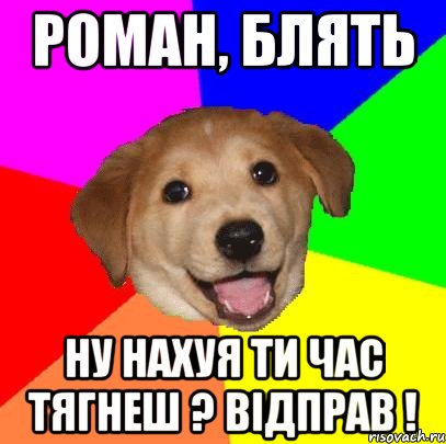 Роман, блять Ну нахуя ти час тянеш ? ВІДПРАВ !, Мем Advice Dog