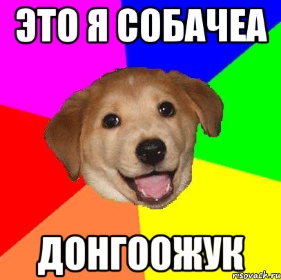 это я собачеа ДОНГООЖУК, Мем Advice Dog