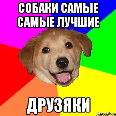 собаки самые самые лучшие друзяки, Мем Advice Dog