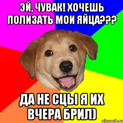 Эй, чувак! Хочешь полизать мои яйца??? Да не сцы я их вчера брил), Мем Advice Dog