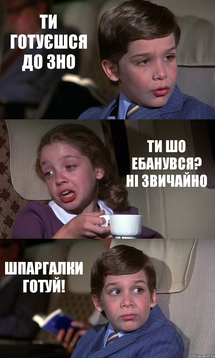 ТИ ГОТУЄШСЯ ДО ЗНО ТИ ШО ЕБАНУВСЯ? НІ ЗВИЧАЙНО ШПАРГАЛКИ ГОТУЙ!, Комикс Аэроплан