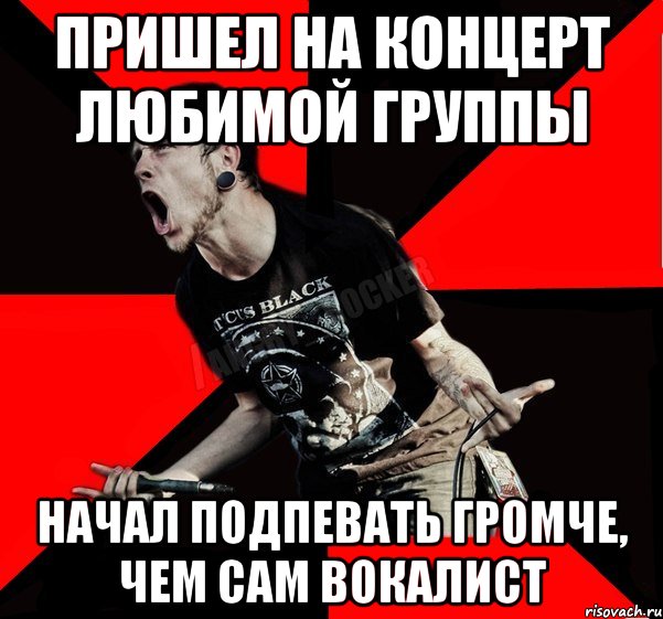 Пришел на концерт любимой группы начал подпевать громче, чем сам вокалист