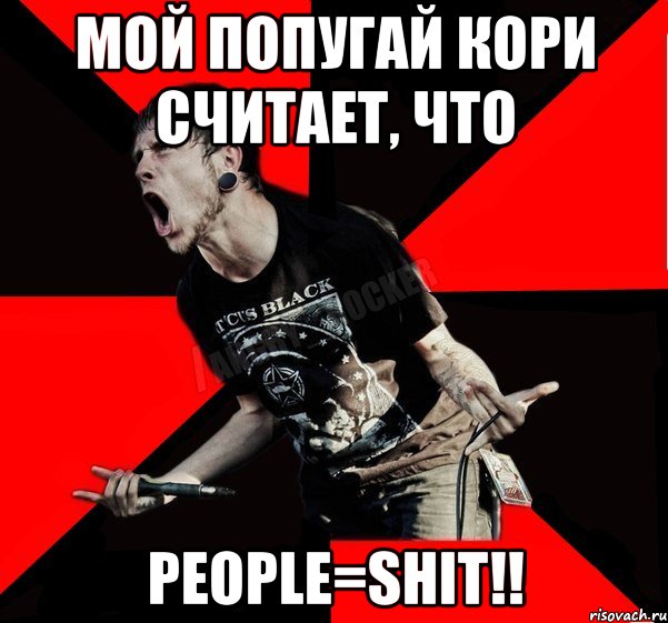 Мой попугай Кори считает, что PEOPLE=SHIT!!, Мем Агрессивный рокер