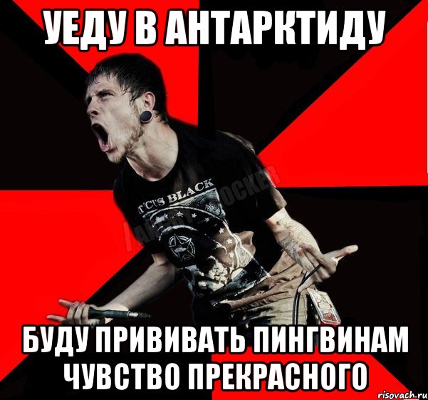 Уеду в Антарктиду буду прививать пингвинам чувство прекрасного, Мем Агрессивный рокер