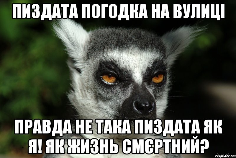 Пиздата погодка на вулиці Правда не така пиздата як я! Як жизнь смєртний?