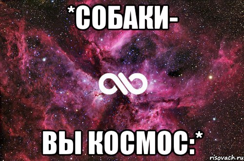 *Собаки- вы космос:*, Мем офигенно