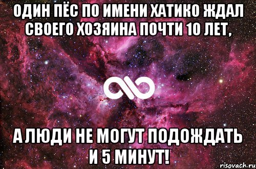 Один пёс по имени Хатико ждал своего хозяина почти 10 лет, а люди не могут подождать и 5 минут!, Мем офигенно