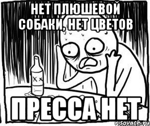 нет плюшевой собаки, нет цветов пресса нет