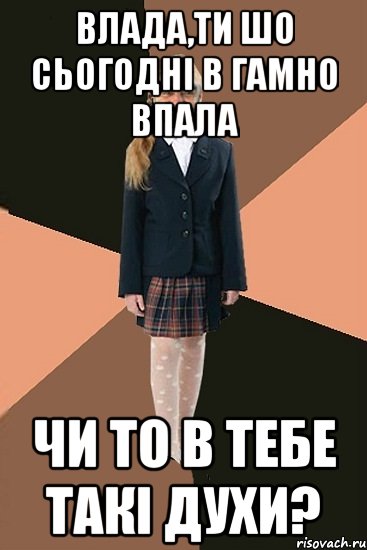 Влада,ти шо сьогодні в гамно впала чи то в тебе такі духи?, Мем Ашотик младшая сестра