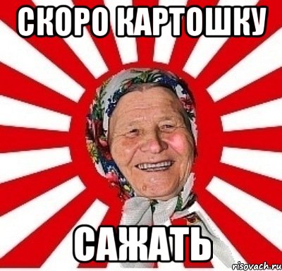 Скоро картошку сажать, Мем  бабуля