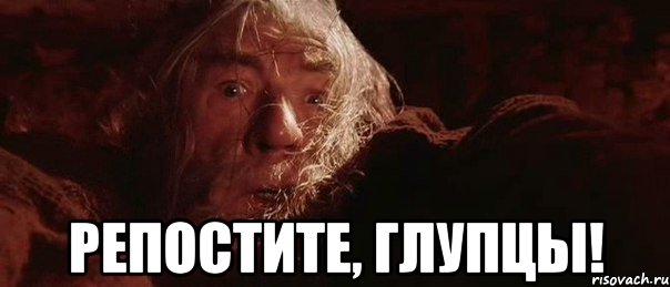  РЕПОСТИТЕ, ГЛУПЦЫ!